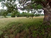 Vente Terrain 8535 m2 Verfeil sur seye