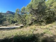 Vente Terrain 855 m2 Cadolive