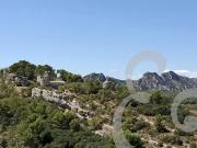Vente Terrain 8620 m2 Eygalières