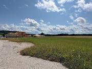 Vente Terrain 876 m2 Faverney