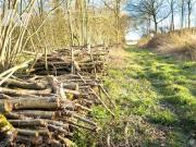 Vente Terrain 8788 m2 Merlaut