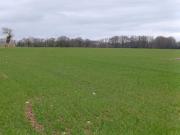 Vente Terrain 880 m2 Saint gerand