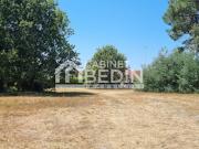 Vente Terrain 886 m2 Biscarrosse