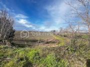 Vente Terrain 886 m2 Montels