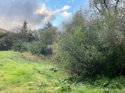 Vente Terrain 887 m2 Nice