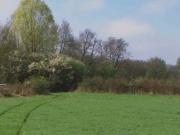 Vente Terrain 898 m2 Dammartin sur Tigeaux