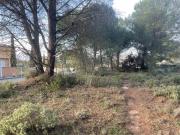 Vente Terrain 901 m2 Alleins