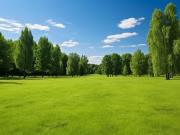 Vente Terrain 904 m2 Chatillon sur marne