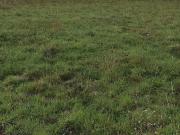 Vente Terrain 913 m2 Lalacelle