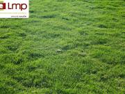 Vente Terrain 930 m2 Saint Hilaire de Riez