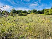 Vente Terrain 945 m2 Nogent le Roi