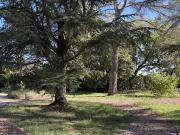 Vente Terrain 950 m2 Alleins