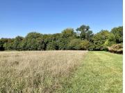 Vente Terrain 950 m2 Bouliac