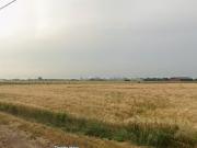 Vente Terrain 950 m2 Merville