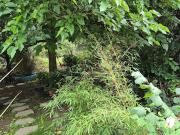 Vente Terrain 950 m2 Rozay en Brie