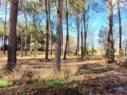 Vente Terrain 950 m2 Seignosse