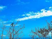 Vente Terrain 951 m2 Saint leu