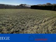 Vente Terrain 955 m2 Baziège
