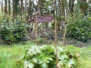 Vente Terrain 96594 m2 La Ferté sous Jouarre