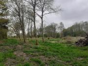 Vente Terrain 9700 m2 Sainte Gauburge Sainte Colombe