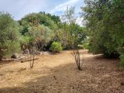 Vente Terrain 970 m2 Camps la Source