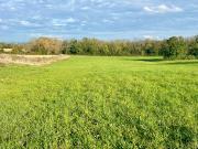 Vente Terrain 970 m2 Jayat