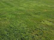 Vente Terrain 990 m2 Carrouges