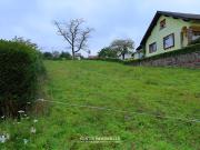 Vente Terrain 993 m2 Dannelbourg