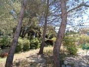 Vente Terrain 994 m2 Chateaurenard