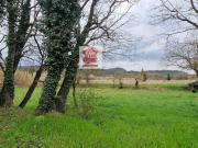 Vente Terrain 997 m2 Bollene