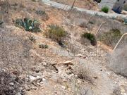 Vente terrain à Al Hoceima. Surface de 1250 m²