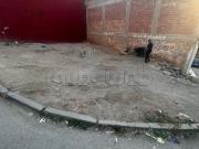 Vente terrain à Al Hoceima. Surface de 128 m²