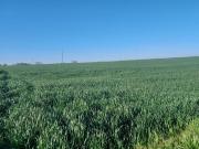 Vente Terrain agricole 15768 m2 Pont l'abbe...