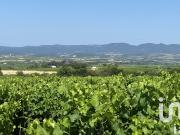 Vente Terrain agricole 216211 m2 Magalas