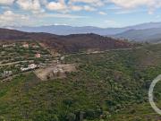 Vente Terrain agricole 26904 m2 Saint Florent