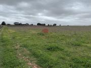 Vente Terrain agricole 53053 m2 Saint André de Sangonis