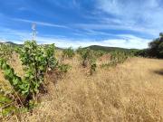 Vente Terrain agricole 54432 m2 Caussiniojouls