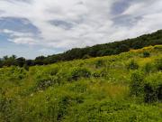 Vente Terrain agricole 60000 m2 Vinsobres