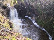 Vente Terrain agricole 79300 m2 Moncontour de bretagne