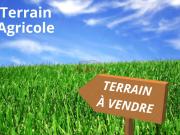 Vente Terrain agricole de 245000 m2 à Marrakech
