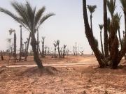 Vente Terrain Bab Atlas 5600 m2