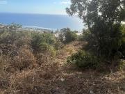 Vente Terrain constructible 1000 m2 Saint leu