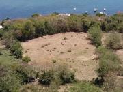 Vente Terrain constructible 10046 m2 Le vauclin