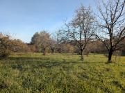 Vente Terrain constructible 1012 m2 Cocumont