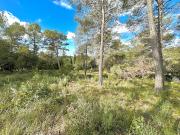Vente Terrain constructible 1100 m2 Saint Paul en Forêt