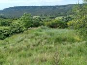 Vente Terrain 1189 m2 Moustiers Sainte Marie