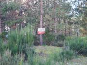 Vente Terrain constructible 1278 m2 Casteljaloux