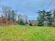 Vente Terrain constructible 1305 m2 Lugrin