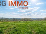 Vente Terrain constructible 13117 m2 Cazaubon
