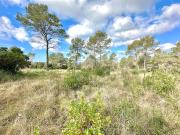 Vente Terrain constructible 1390 m2 Saint Paul en Forêt